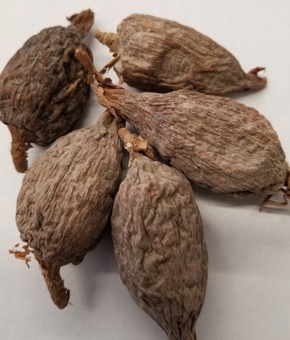 3 Atare alligator pepper