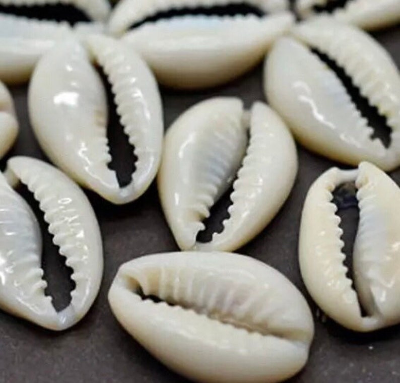 Cowries